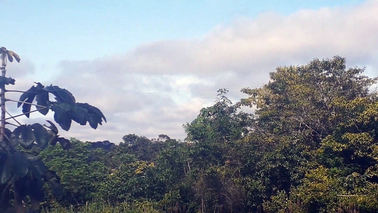 Boeing 777-300ER PT-MUD na aproximação final antes de pousar em Manaus vindo de Guarulhos