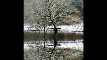 Ballade en Bretagne sous la neige 11 02 2021au bord de la rivière Isole région Finistère Quimperlé