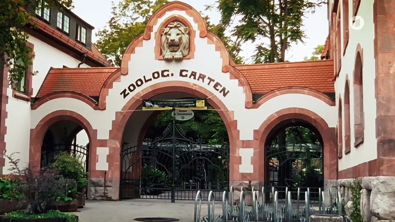 Tierärztin Dr. Mertens: Wer wagt, gewinnt | Folge 81