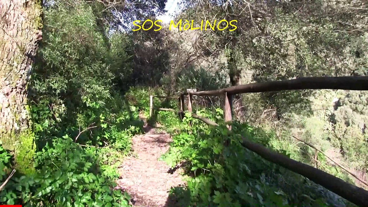 001 Santu Lussurgiu 14_2_2021