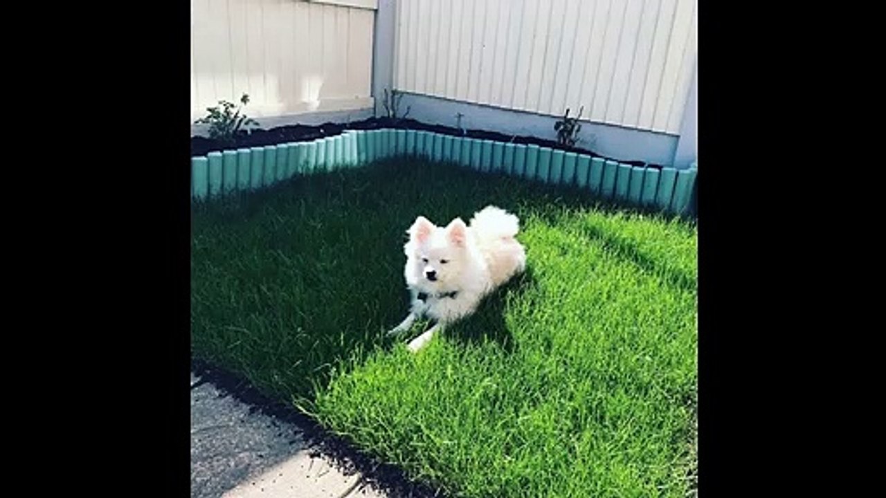 Featherstone house competition: Win a house, £10,000 and help the NHS and Heronbank Rescue Video: Victoria Perry