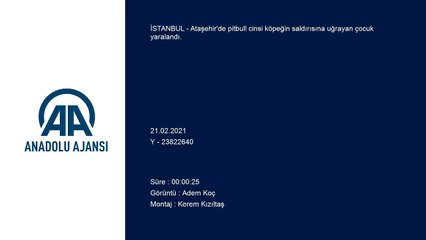 İSTANBUL - Ataşehir'de köpeğin saldırısına uğrayan çocuk yaralandı