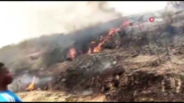 - Nijerya’daki uçak kazasında 7 kişi öldü