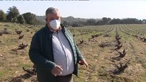 Los productores de vino y carne, atrapados en la crisis causada por la pandemia