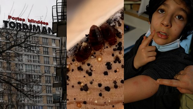 Rats, punaises de lit et périphérique : le calvaire sans fin des habitants de la cité « Python »