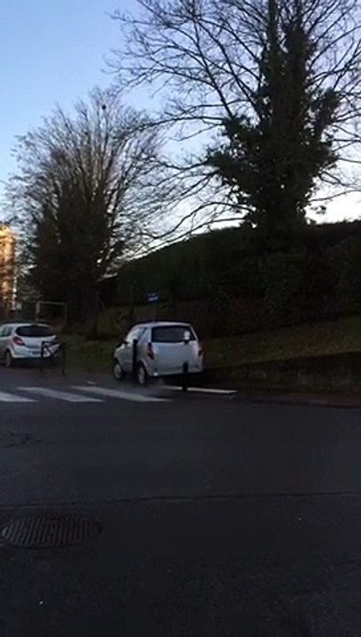 Elle se retrouve coincée entre ces poteaux sur le trottoir en voiture