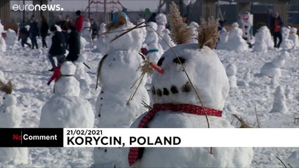 One thousand snowmen built in Poland to raise money for toddler