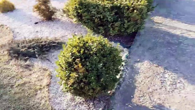 Такой только у меня и у бабы яги.Купили сказочный деревянный туалет и привезли на черничный хутор.