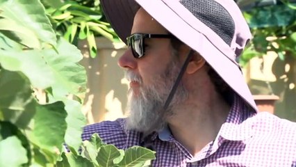 Sunburn hospital treatment reaches six-year high in WA