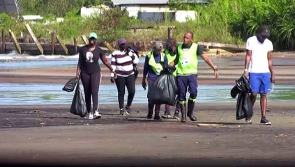 Vessigny Mangrove Project