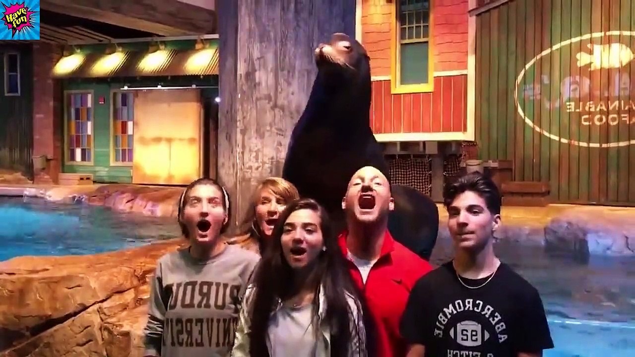 Funny Animals Reaction - Try Not To Laugh Shark With Baby_[have fun with us]