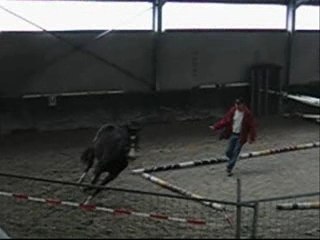 Saut Gucci du vivier a finir