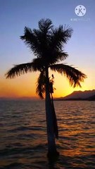 biwi | peer zulfiqar ahmad naqshbandi db