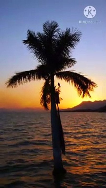 biwi | peer zulfiqar ahmad naqshbandi db