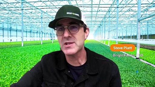 Investors plant money in indoor farms