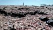 Israeli beaches hit by mystery oil spill