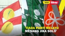 ‘Tiada parti Melayu menang jika solo’