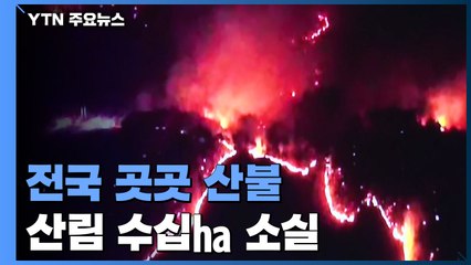 전국 곳곳에서 산불...영동·논산·하동 산림 수십㏊ 소실 / YTN