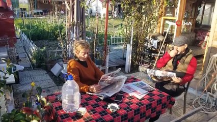 Pandemi, hobi bahçelerine talebi artırdı