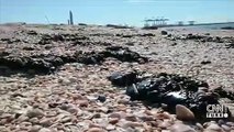 Akdeniz'den gelen öbek öbek katran sahile vurdu