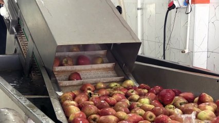 NİĞDE - İtalya'da gördüğü meyve ve sebze kurutma tesisini Niğde'de kurarak yurt dışına açıldı