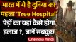 Punjab में खुला World's first Tree Hospital, बीमार पेड़ों का होगा ट्रीटमेंट  । वनइंडिया हिंदी