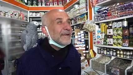 14 yıldır sahibinin omuzunda; 500 kelime biliyor, ilahi ve dua okuyor