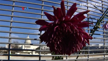 Pekerja Penghasilan Menengah ke Bawah Tunggu Stimulus Baru