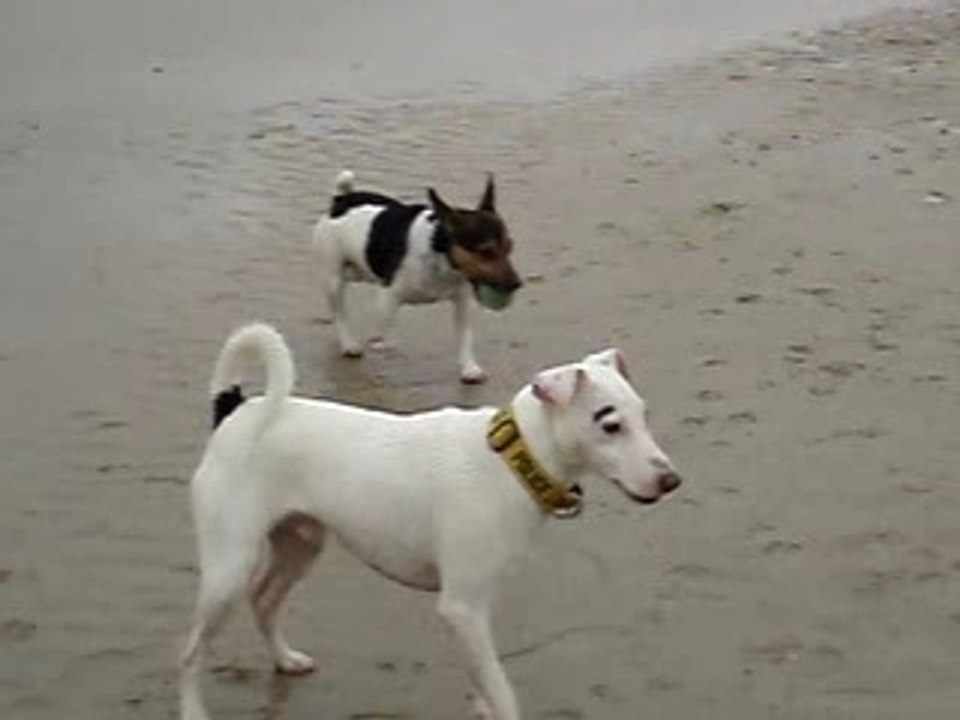 Abou, Capsule et Astuce à la mer