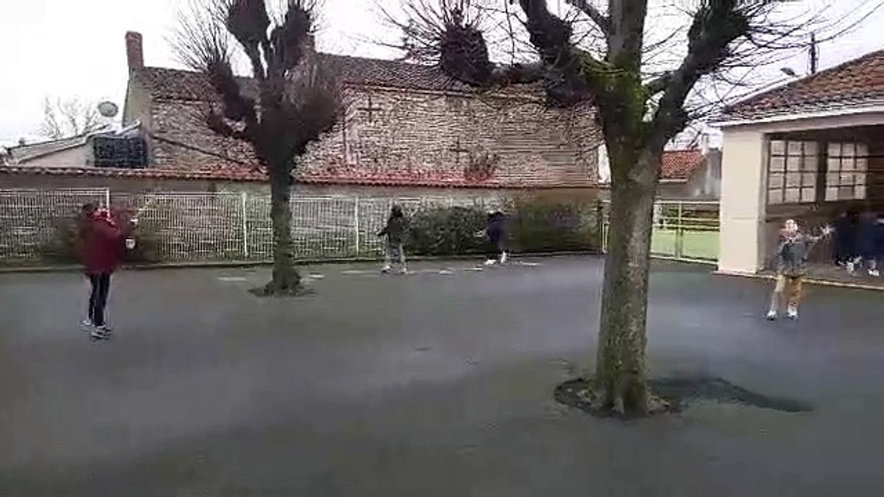 Speedminton