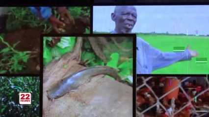 JT 22H DU VEN 19 2 2021