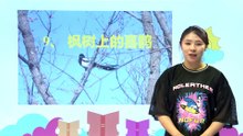 9枫树上的喜鹊|小学语文课文|二年级下