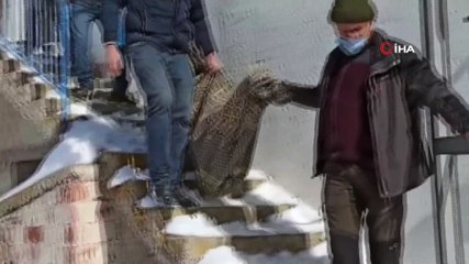 Kurt donmak üzereyken kurtarıldı