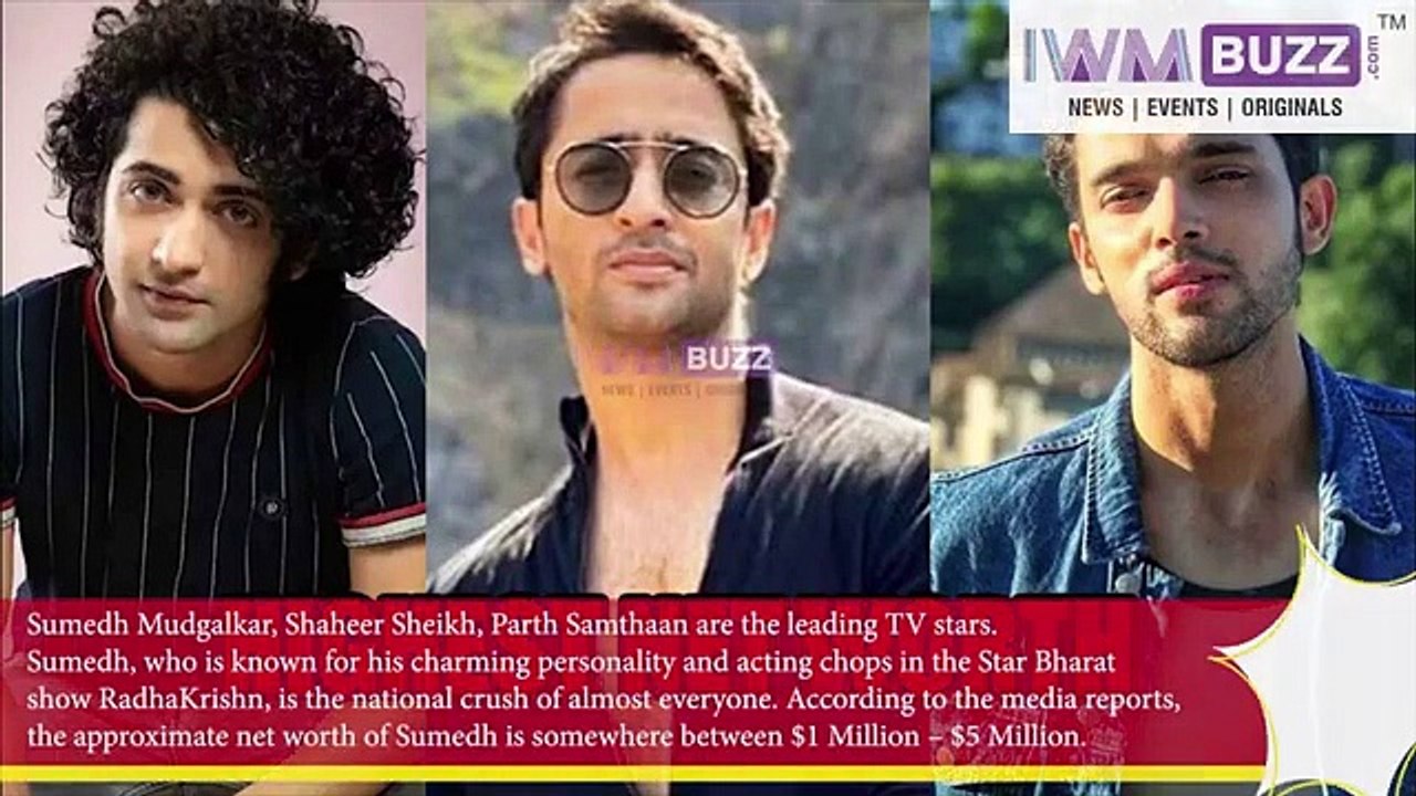 Sumedh Mudgalkar Shaheer Sheikh Parth Samthaan TV Actors With Highest Net Worth