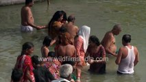 Mass dipping at the Ganges in Banaras - Sacred snan of Hindus
