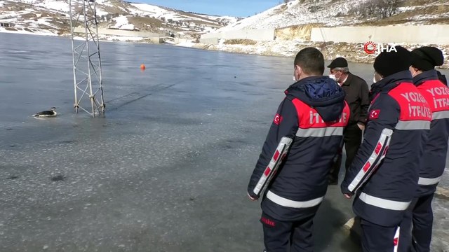 İtfaiye ekipleri buz tutan gölde donmak üzere olan kuşu kurtardı