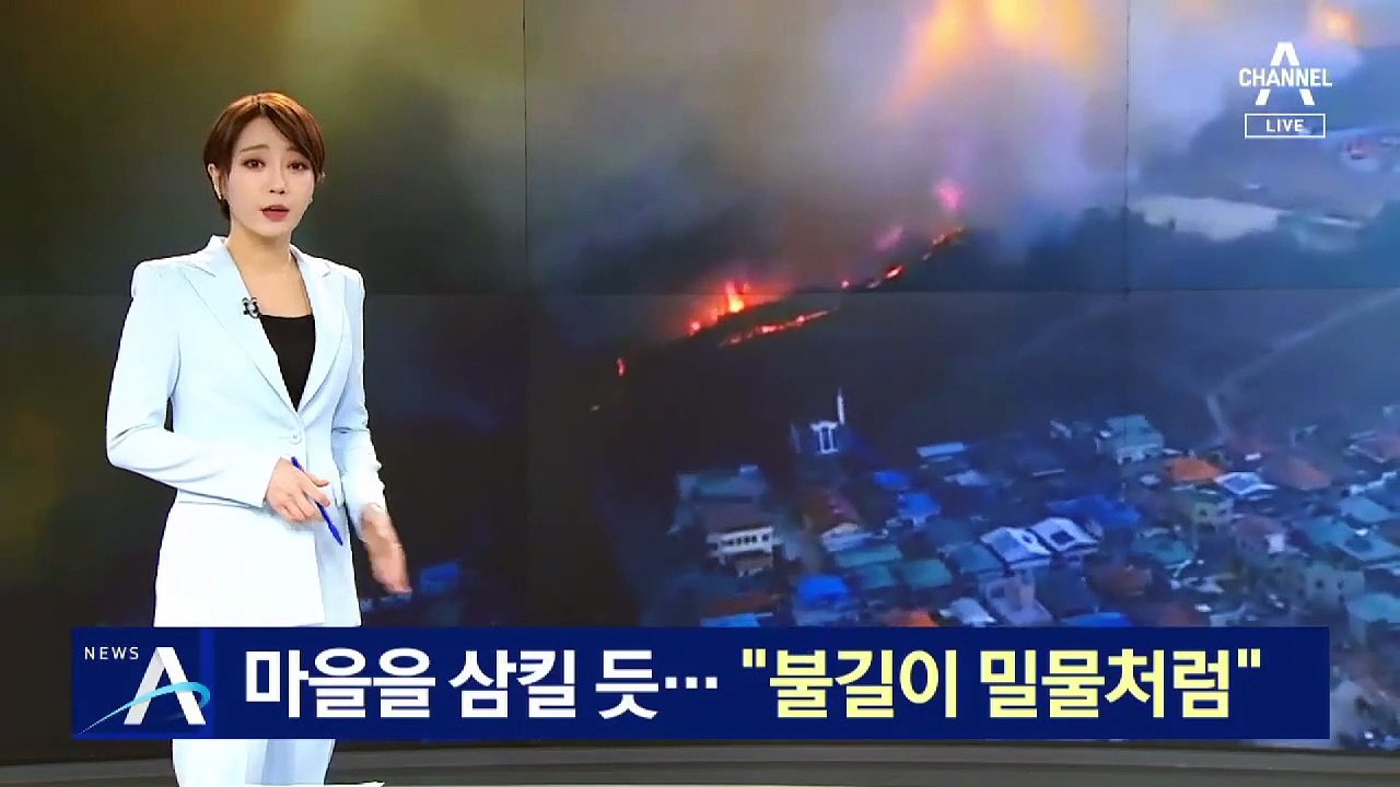 “불길이 밀물처럼”…안동 ‘축구장 350개’ 면적 잿더미