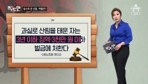 [팩트맨]산불 발생원인 1위는 ‘사람 실수’? 처벌은?