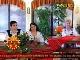 Victoria Moise - Cand eram la mama fata (Am venit cu voie buna - Favorit TV - 31.10.2015)