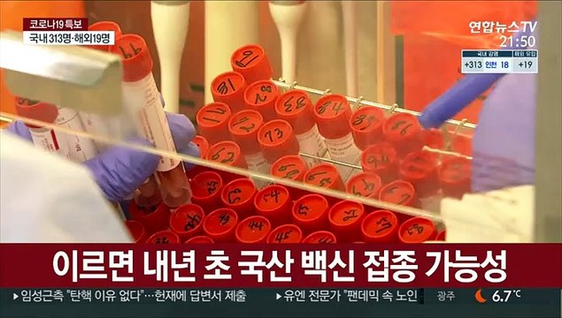 백신 독립은 언제?…정부 이르면 내년 접종 가능