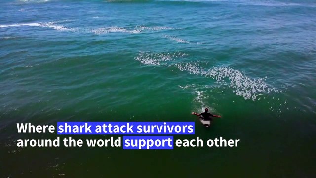 Bite Club: shark attack survivors find solace in unity