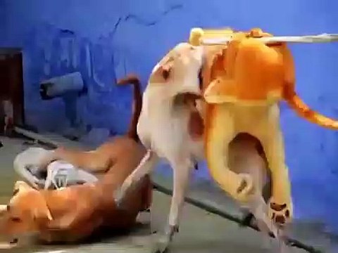 Gulatin na ang lasing wag lng bagong gising