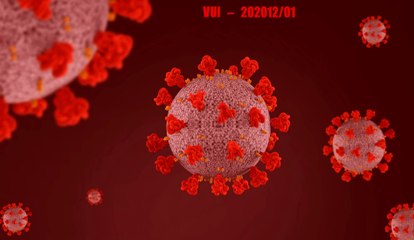 Coronavirus: ce que l’on sait des variants
