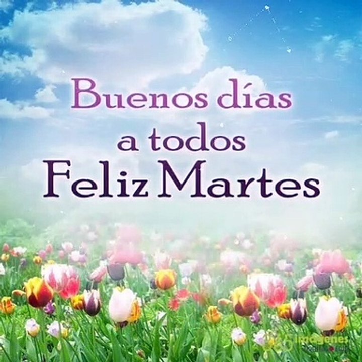 Feliz Martes 