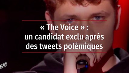 « The Voice » : un candidat exclu après des tweets polémiques