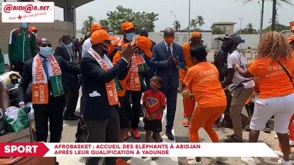 Afrobasket / Accueil des Eléphants à Abidjan après leur qualification à Yaoundé