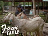 Farm To Table: Chef JR Royol spends a day in a Philippine Livestock Farm!