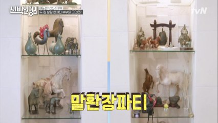 의뢰인 배동성의 과도한 말 애착...ㅋㅋ 17년간 모은 ′말′들이 가득한 집?ㅇ_ㅇ