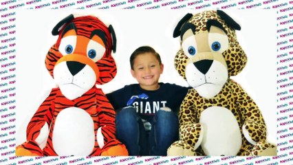 Soluciones del Trece - Miércoles 24 de febrero del 2021