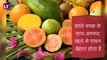 Health Benefits of Guava: कैंसर जैसी बीमारी के खतरे को दूर करता है अमरूद, जानें इसके कुछ और फायदे